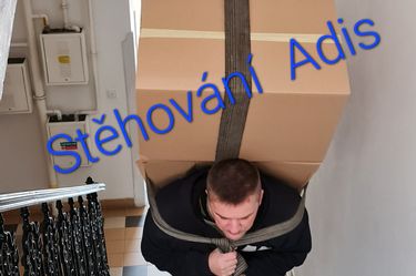 Stěhování nábytku